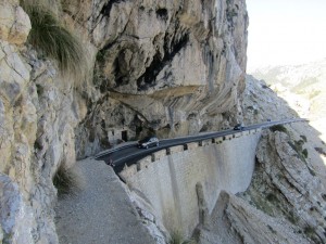 IMG_6672 (Medium)